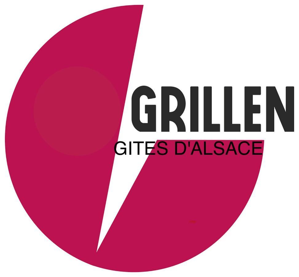Gite Du Grillen Colmar Bagian luar foto